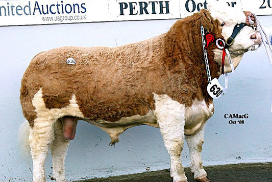 Blackford Ringleader