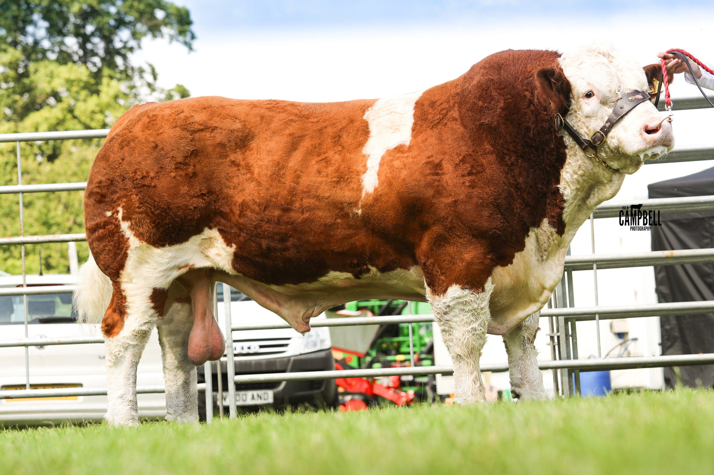 Islavale Jabba 18 (ET) EX 92