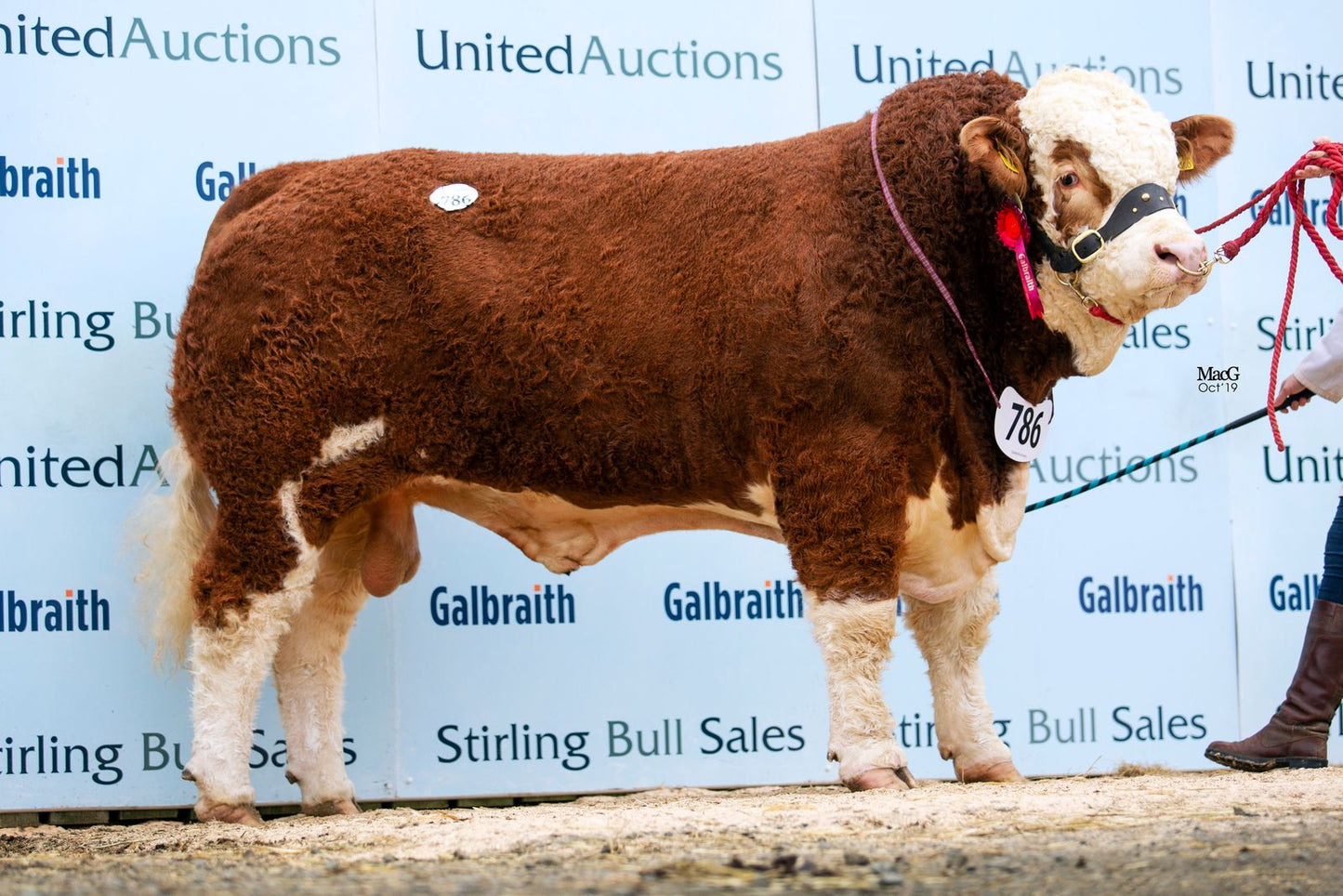 Islavale Jerico 18 EX 93