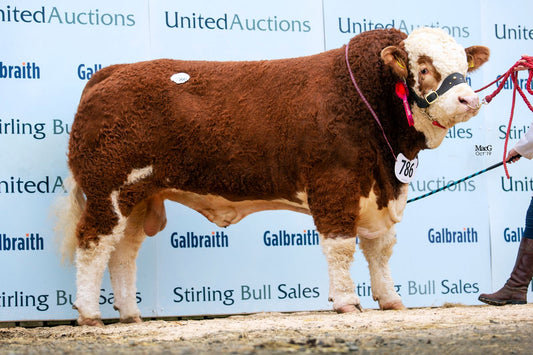 Islavale Jerico 18 EX 93